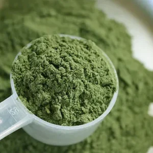 moringa leaves powder